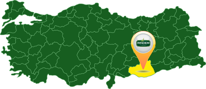 Rindem Satış Ağı